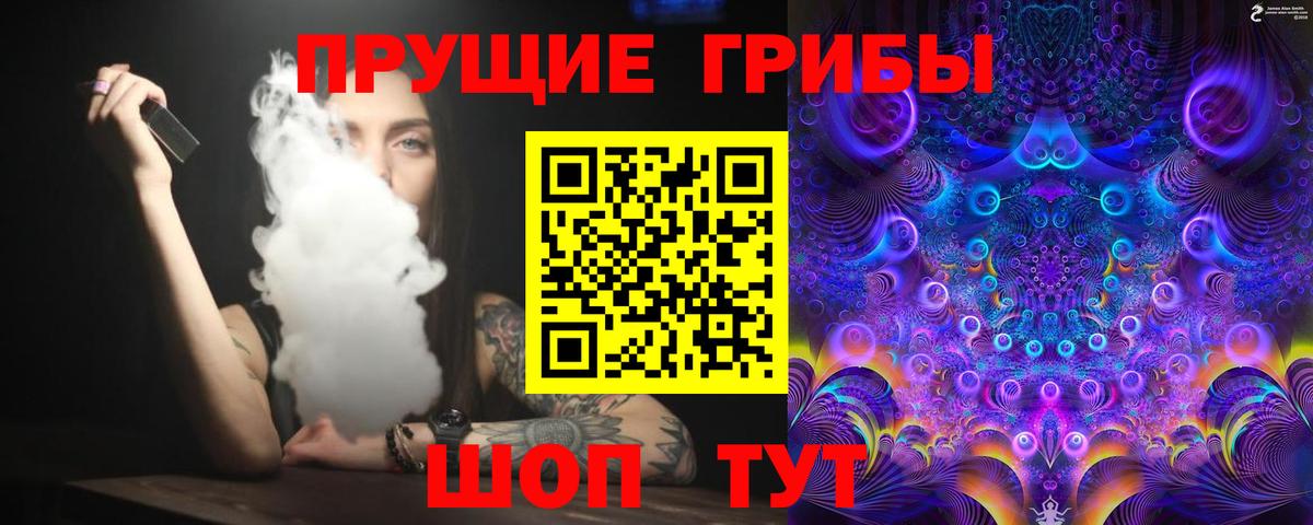 Псилоцибиновые грибы GOLDEN TEACHER  Вход с VPN  Псилоцибиновые грибы GOLDEN TEACHER  Красноармейск 
