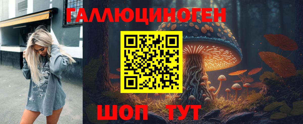 Галлюциногенные грибы Psilocybe Красноармейск